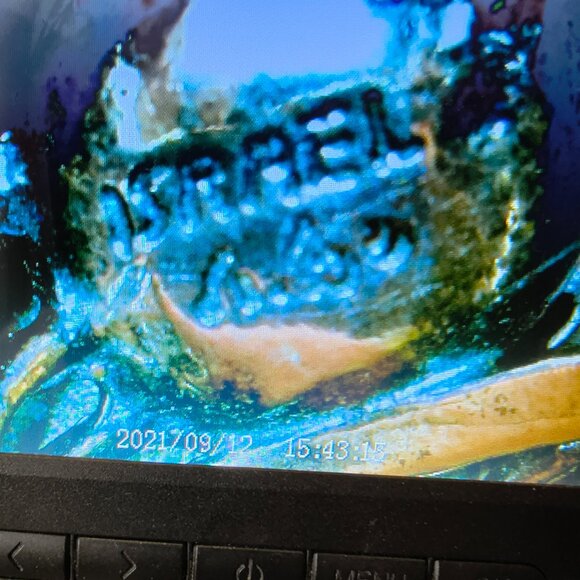 Israel Sterling Silver 925 Fresh Water Pearl Ring - Picture 7 of 8